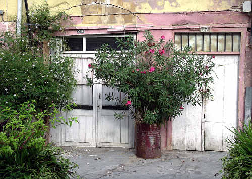 Chania of the past - Old Building 6 - Venetian Harbour Area.