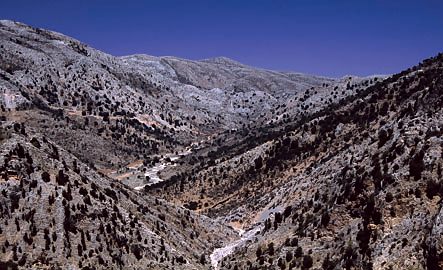 Dry Valley of Erganos, Western Mount Dikti, Border of N. Irakliou & N. Lasithiou, Crete.