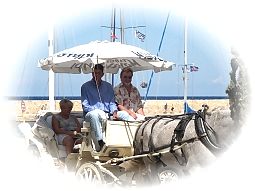 Chania, Venetian Harbour, Horse and Carriage tour.